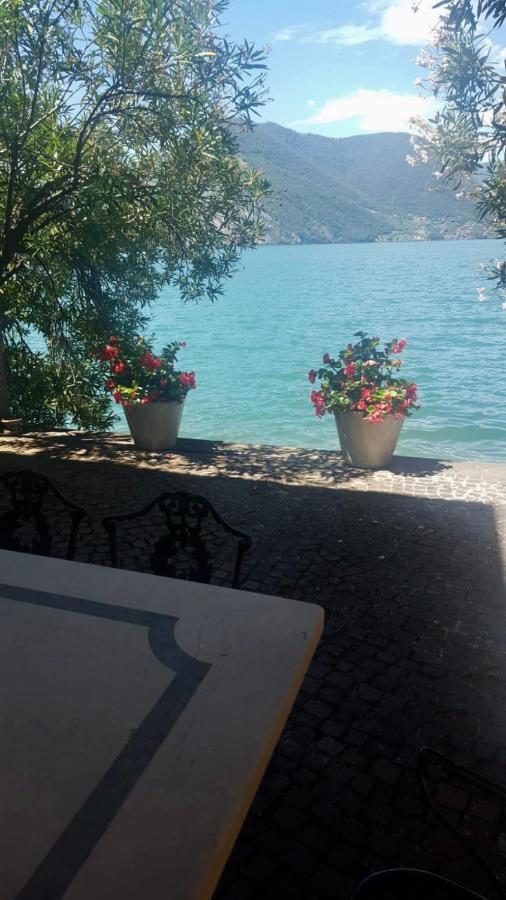 L'Oleandro Sul Lago D'Iseo B&B Sulzano Extérieur photo