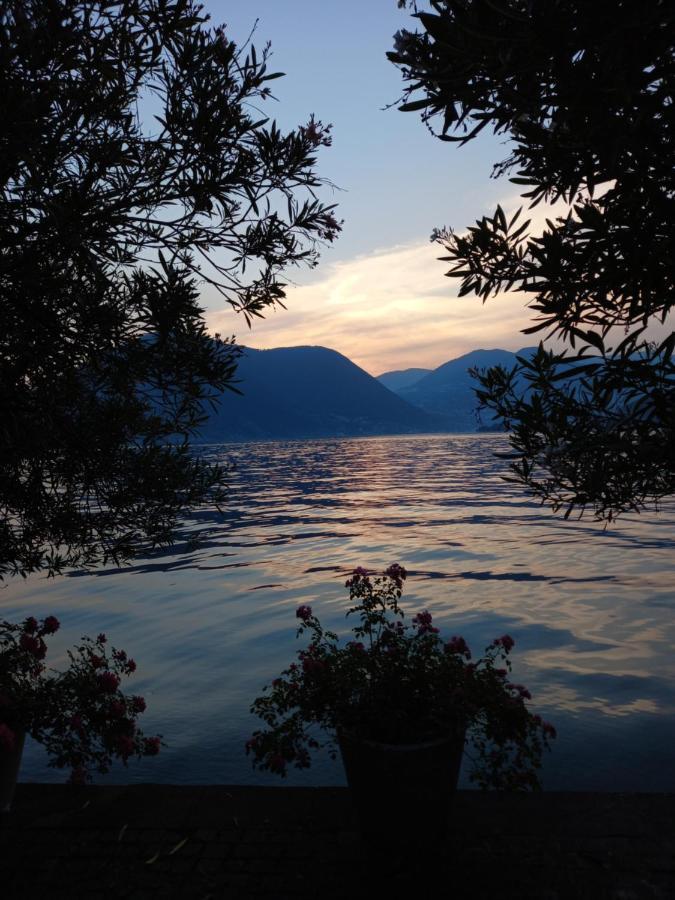 L'Oleandro Sul Lago D'Iseo B&B Sulzano Extérieur photo