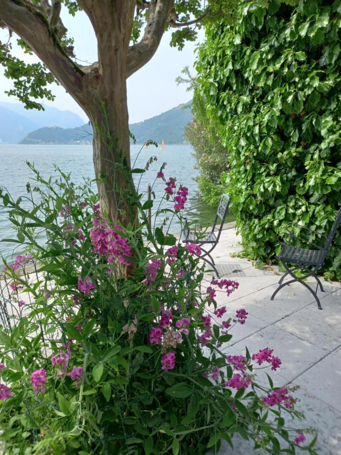 L'Oleandro Sul Lago D'Iseo B&B Sulzano Extérieur photo