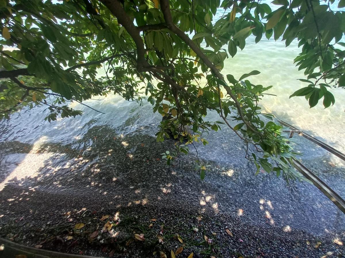 L'Oleandro Sul Lago D'Iseo B&B Sulzano Extérieur photo