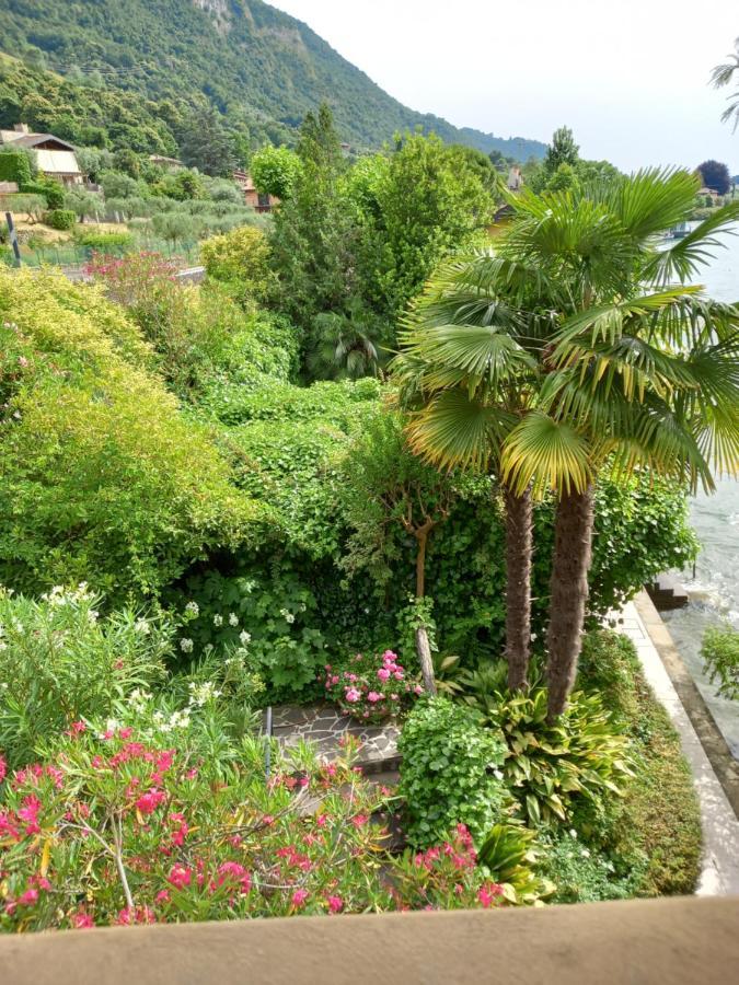 L'Oleandro Sul Lago D'Iseo B&B Sulzano Extérieur photo