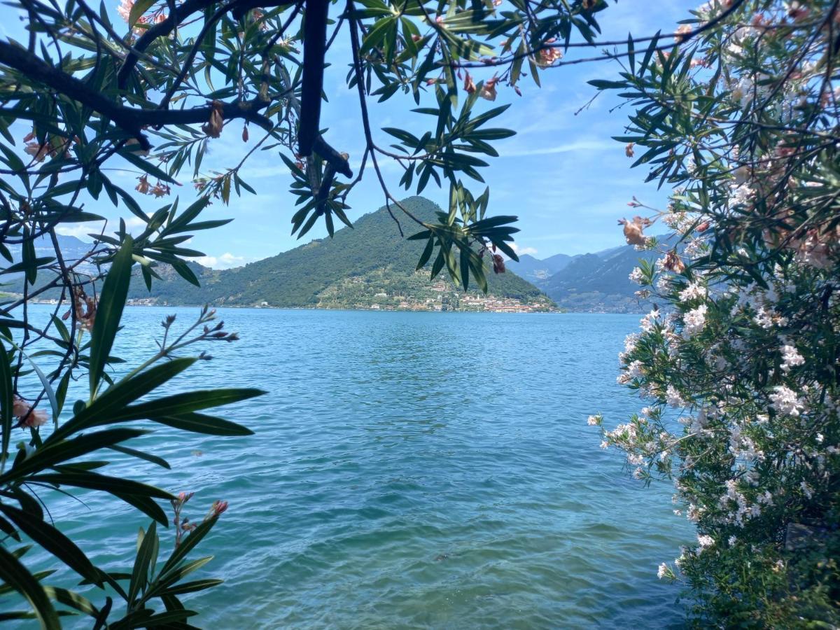 L'Oleandro Sul Lago D'Iseo B&B Sulzano Extérieur photo