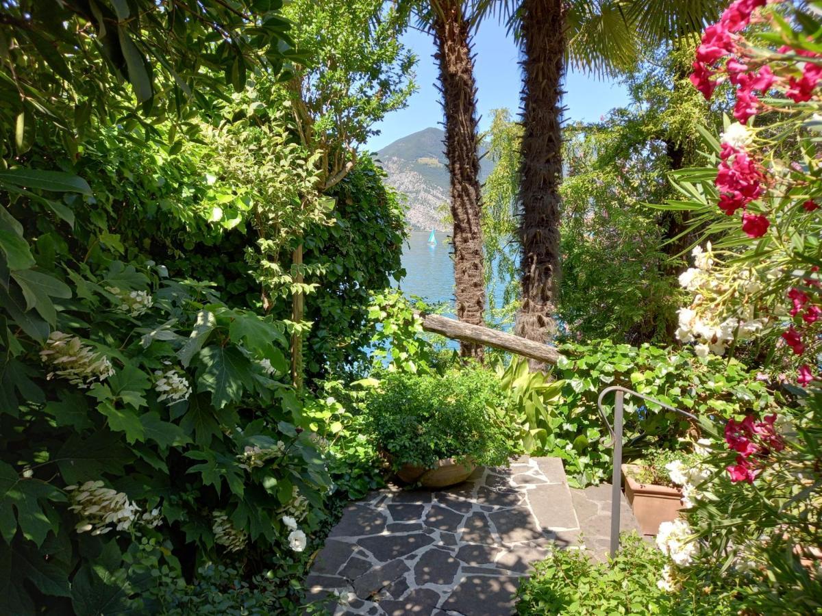 L'Oleandro Sul Lago D'Iseo B&B Sulzano Extérieur photo